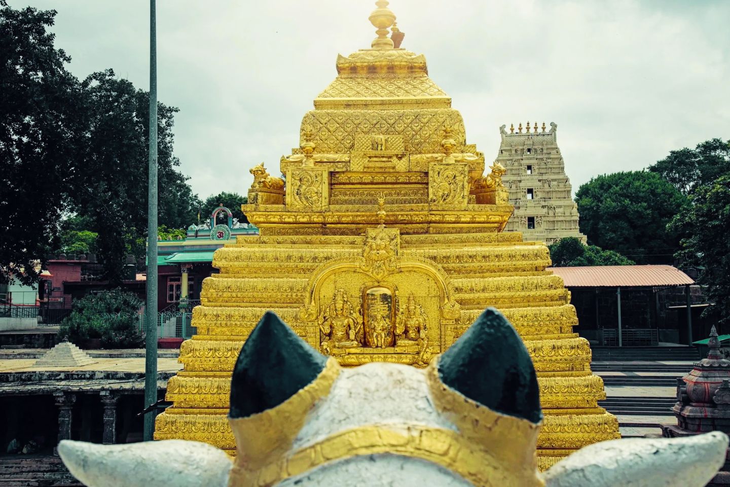 Quick 1 Night / 2 Days Hyderabad to Srisailam Mallikarjuna Tour Package with Itinerary & Rate