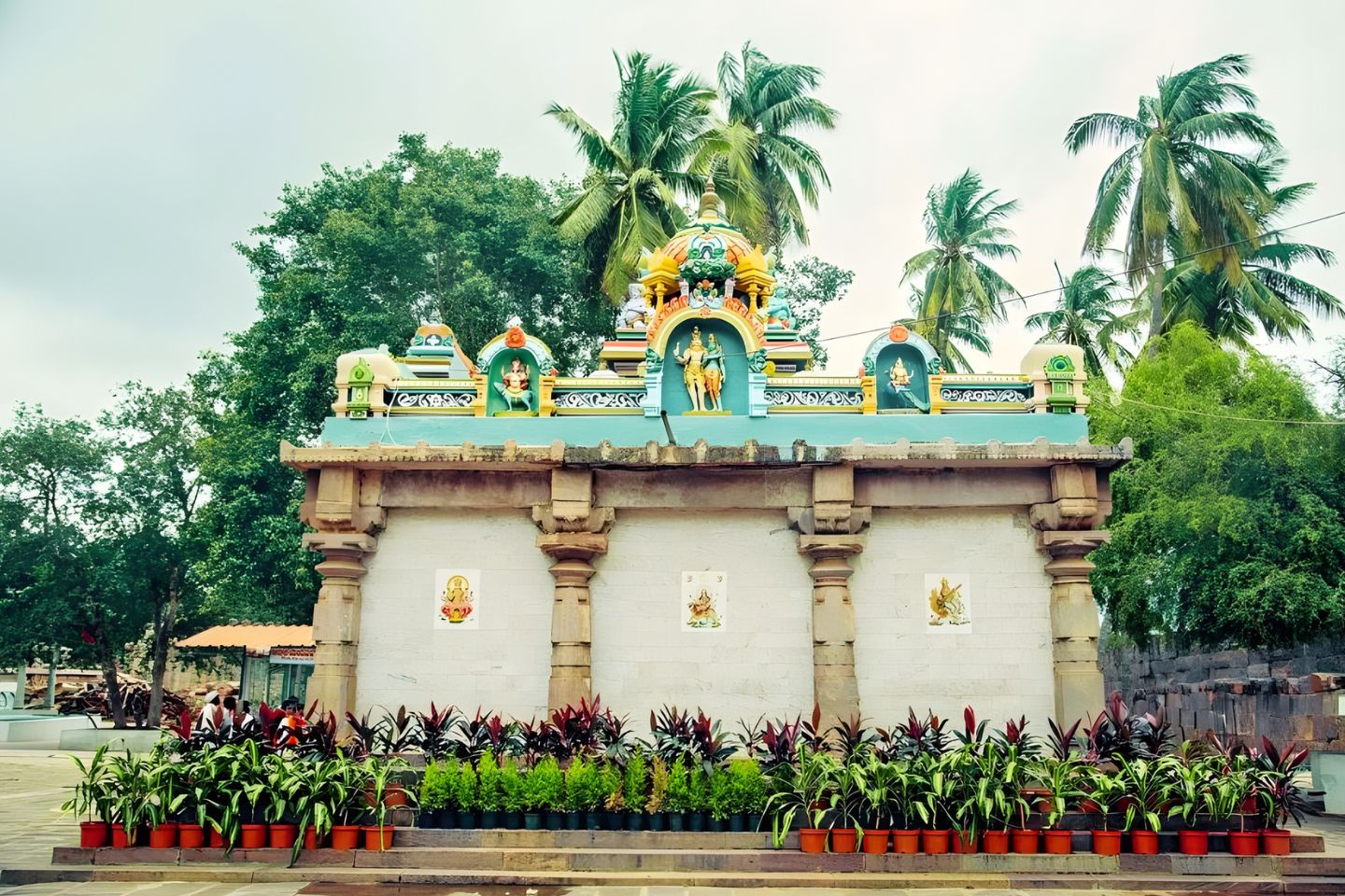 Nagalooty Srisailam